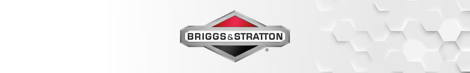 Briggs & Stratton