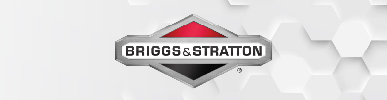 Briggs & Stratton